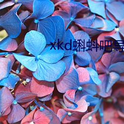 xkd蝌蚪吧導福航ios