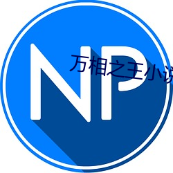 万(wàn)相(xiāng)之王小说