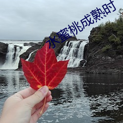 尊龙凯时人生就是搏(中国区)官方网站