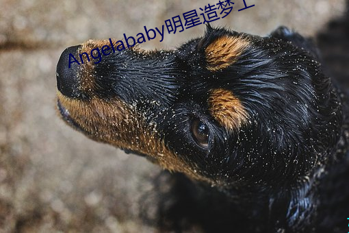 尊龙凯时·(中国)官方网站