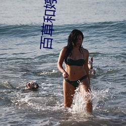 百草和婷宜(yí)和洽视(shì)频