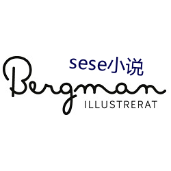 sese小说