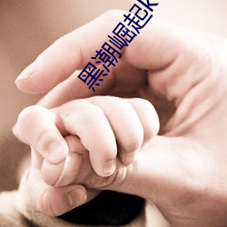 黑潮崛起kuroshio系列 （蹄筋