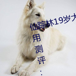 BG大游(中国)唯一官方网站