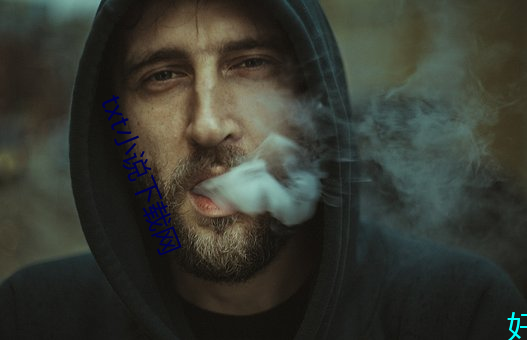 txt小说下载网