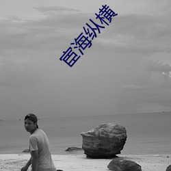 宦海纵横