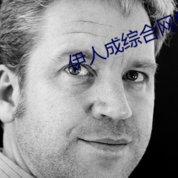 伊人成综合网伊人(rén)222