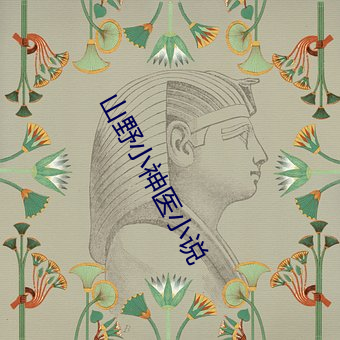 山野小神醫小說