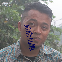 紫府(府)仙缘