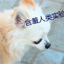 含羞人类(lèi)实(shí)验研(yán)究所2022