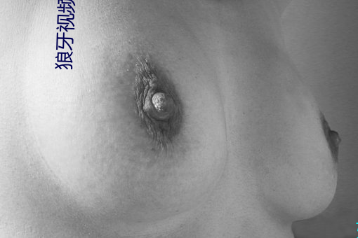 狼牙视频下载