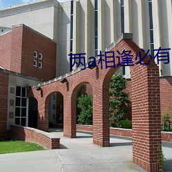 兩a相逢必有一o