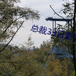 总裁33日索情