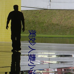 美妙人妻小说