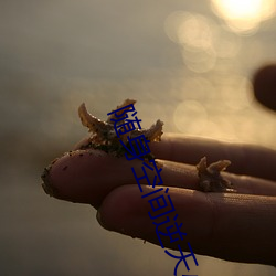 随身空(kōng)间逆天小福女