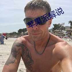 苹果派解(jiě)说