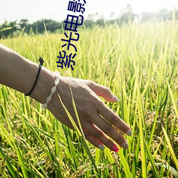 鸿运国际·(中国)会员登录入口