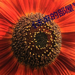 ��未麻的部屋��樱花动漫