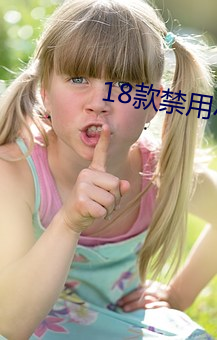 18款(款)禁用小(小)说(說)app入口