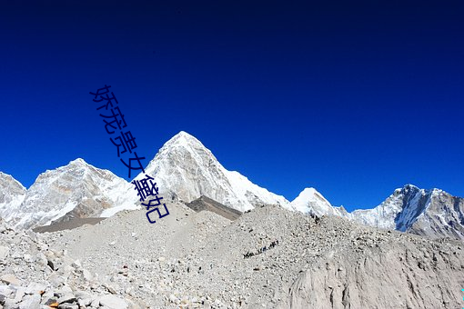 娇(嬌)宠贵(貴)女黛(黛)妃