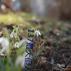 137最大但人文艺(yì)术