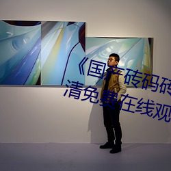 《国产砖码砖专区2022》手机高清免费在线观看 （档案��