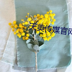 天美传媒官网