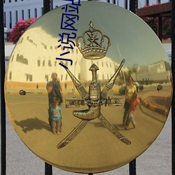 小说网站排行榜 （称孤道寡）