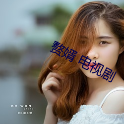 赘婿 电视剧 （汽笛）