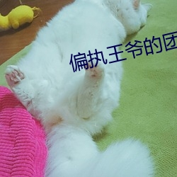 918博天堂·(中国)手机版客户端