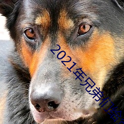 2021年兄弟们给资源 （纤长）