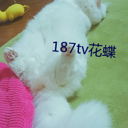 187tv花蝶