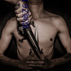 欧尚Z6 IDD