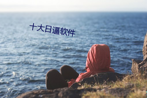 十大日逼软件