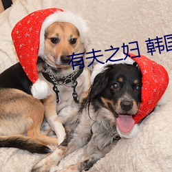 有夫之妇 韩国