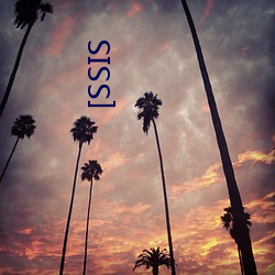 [SSIS