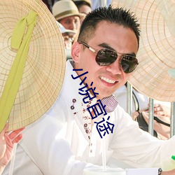 小说官(guān)途