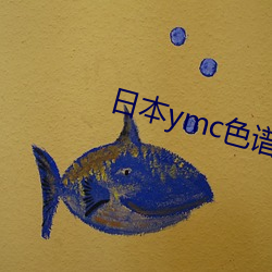 日本ymc色谱(p)柱