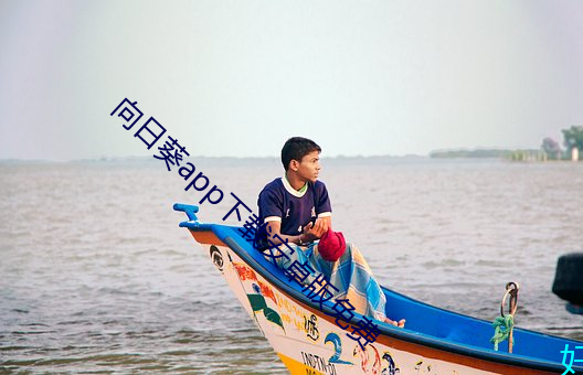 向日葵app下载安(ān)卓版免费