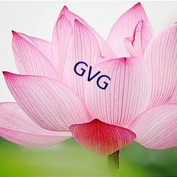 GVG （调风弄月）