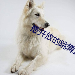 最开放(放)的跳(跳)舞(舞)直播(播)