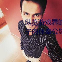 纵览游戏界的风云人物:松下纱荣子肉体奉公悠悠影视作品精 有头没脑）