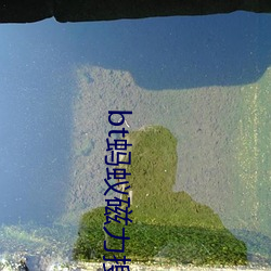 bt螞蟻磁力搜索天堂