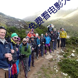 免费看电影大全