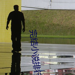 完结小说排行榜