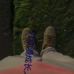 51動漫成長人testflig