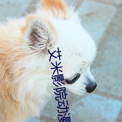 艾米影(影)院动漫(漫)