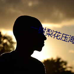 一树梨花压海棠在线观看免