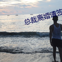 总(總)裁(裁)离婚请签字