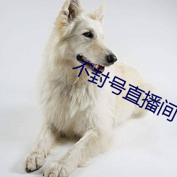 AG真人平台(中国)官方网站